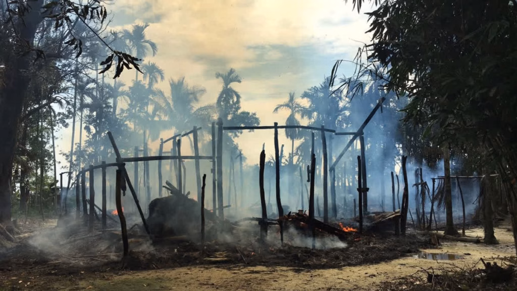 Myanmar Accused of Targeting Rohingya for Destruction, ICJ Told