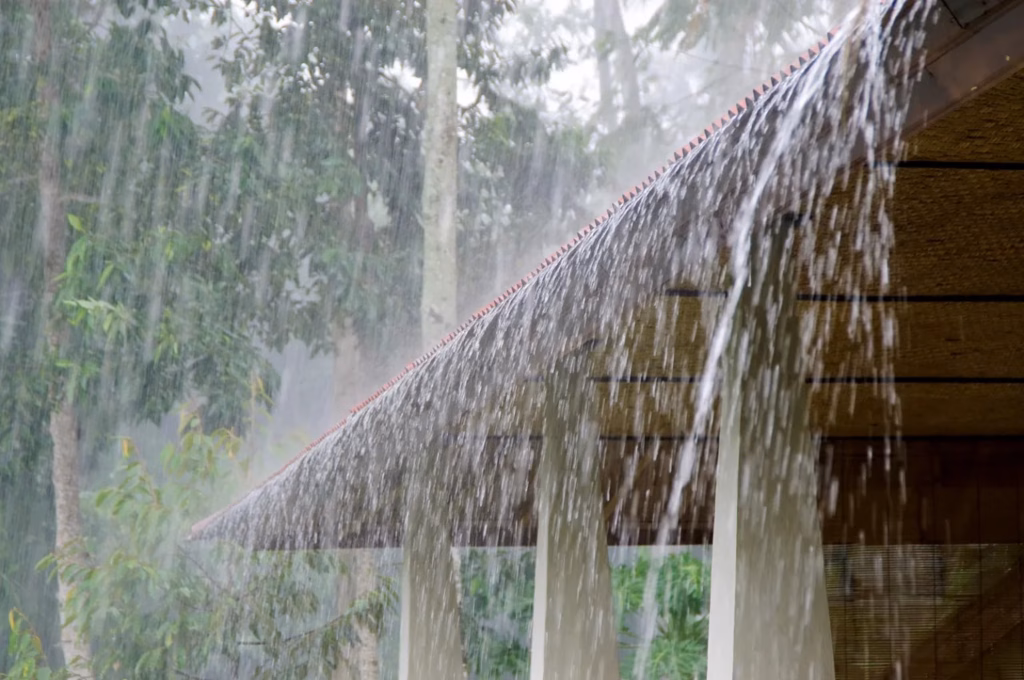 Maharashtra receives 92% of its average rainfall between June 1 and August 20 Maharashtra has received 92% of its average rainfall between June 1 and August 20. Check the latest monsoon and rainfall update.